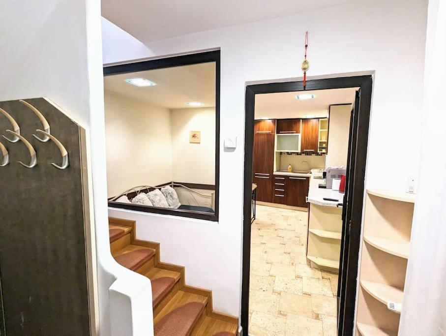 Maisonette Balcesco Braşov Exteriör bild