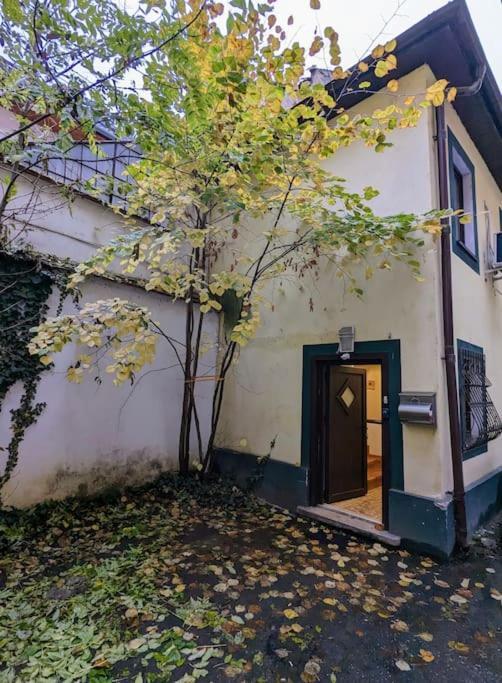 Maisonette Balcesco Braşov Exteriör bild